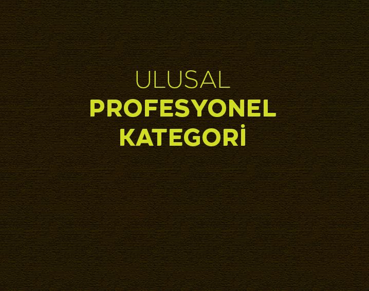 ULUSAL PROFESYONEL KATEGORİ