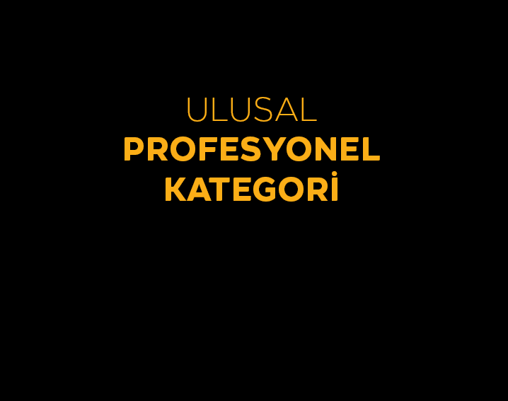 ULUSAL PROFESYONEL KATEGORİ