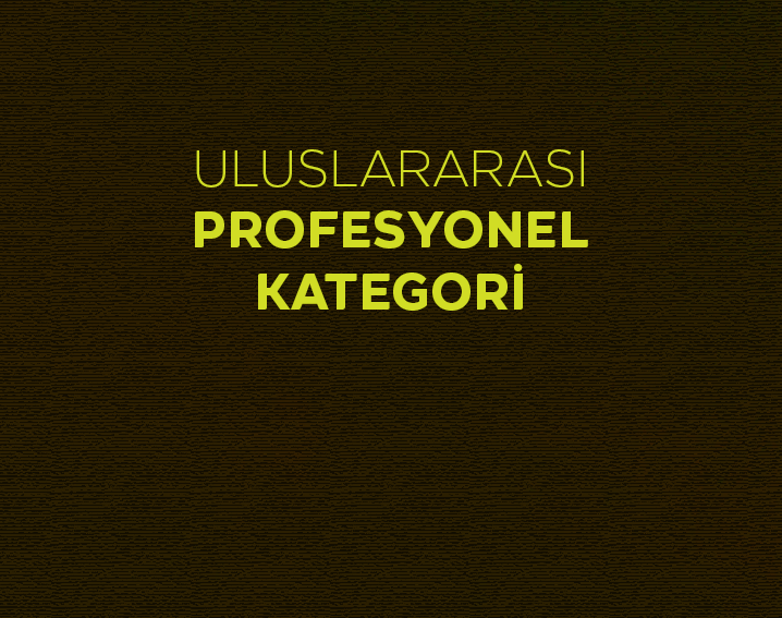 ULUSLARARASI PROFESYONEL KATEGORİ