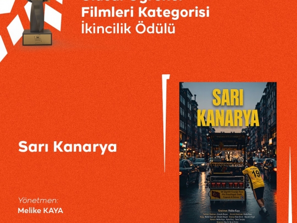 Sarı Kanarya